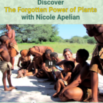 forgotten power of plants